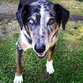 User avatar for Carlee Casey