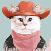 User avatar for Dan Alvey