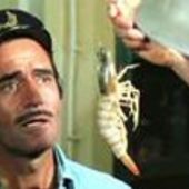 User avatar for Scott Eustis