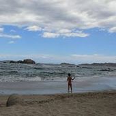 User avatar for Silvana Ninivaggi