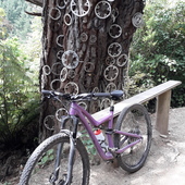 User avatar for Karen Hunn