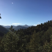 User avatar for Ned Riedel