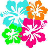 User avatar for Joyce Rose