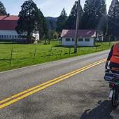 User avatar for Kristin Kinnamon