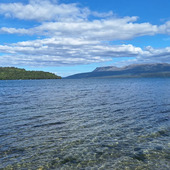 User avatar for Hamiora Mutu