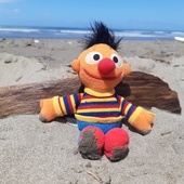 User avatar for Kirsten Tester