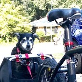 User avatar for Khris Kramer