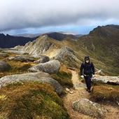 User avatar for David Ferris