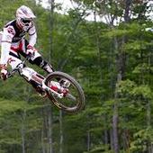 User avatar for Marco Vidal