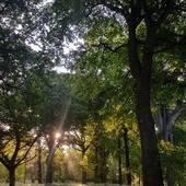 User avatar for Karri Hartley