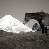 User avatar for Tim Weston