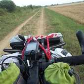 User avatar for Michele Celotto