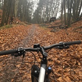 User avatar for Astrid Bowman