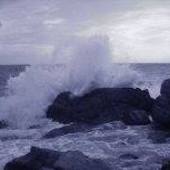 User avatar for Daniela Comelli