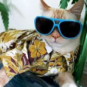 User avatar for Elijah Cabiles