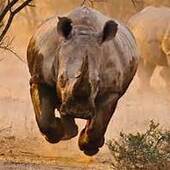 User avatar for Andrew  Gall