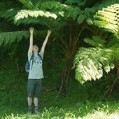 User avatar for Bert Heyman