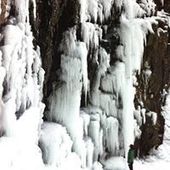 User avatar for Bingjie Wang