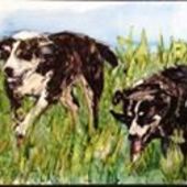 User avatar for Bridget Percy