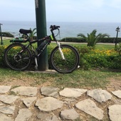 User avatar for Franz Quiroz Cornejo