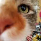 User avatar for Marjorie Reedy