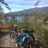 User avatar for Hopping Bird