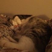 User avatar for Francesca Steiner