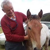 User avatar for Ezio Arlati