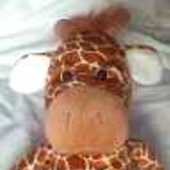 User avatar for Edward Harris