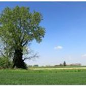 User avatar for Dario Casiraghi