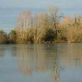 User avatar for Kevin Deegan