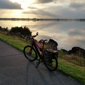 User avatar for Stuart Murphy