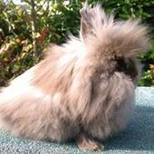 User avatar for Davinia Farthing