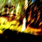 User avatar for Alberto Serra