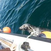 User avatar for Samantha Ellershaw