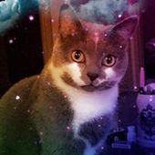 User avatar for Abbie Spritzer