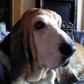 User avatar for Keith Hunt