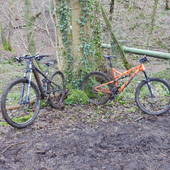 User avatar for J.J. Wareing