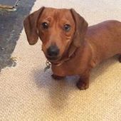 User avatar for Gary Kendrew