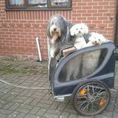 User avatar for Elizabeth Smith