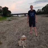 User avatar for Adam Love