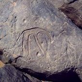 User avatar for Ahmed Elkesh