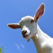 User avatar for Michelle Baldwin