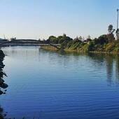 User avatar for Anna Watson