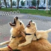 User avatar for Raena Jackson Armitage