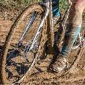 User avatar for Beth Durman