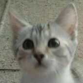 User avatar for Sarah Bailey