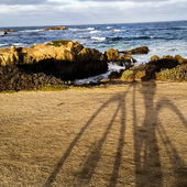 User avatar for Wade Rich