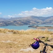 User avatar for Ali B