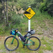 User avatar for Jill Clendon